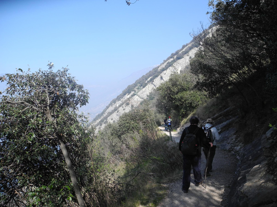 Parco Avventura delle Busatte景点图片