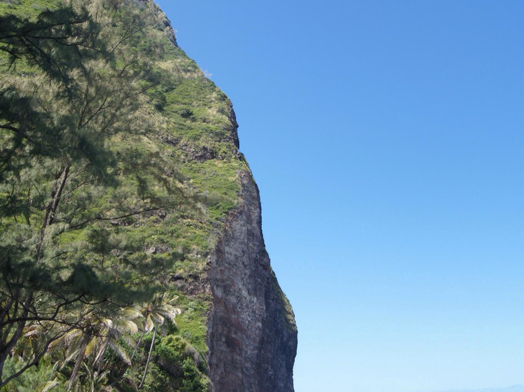 威庇欧山谷观景点景点图片