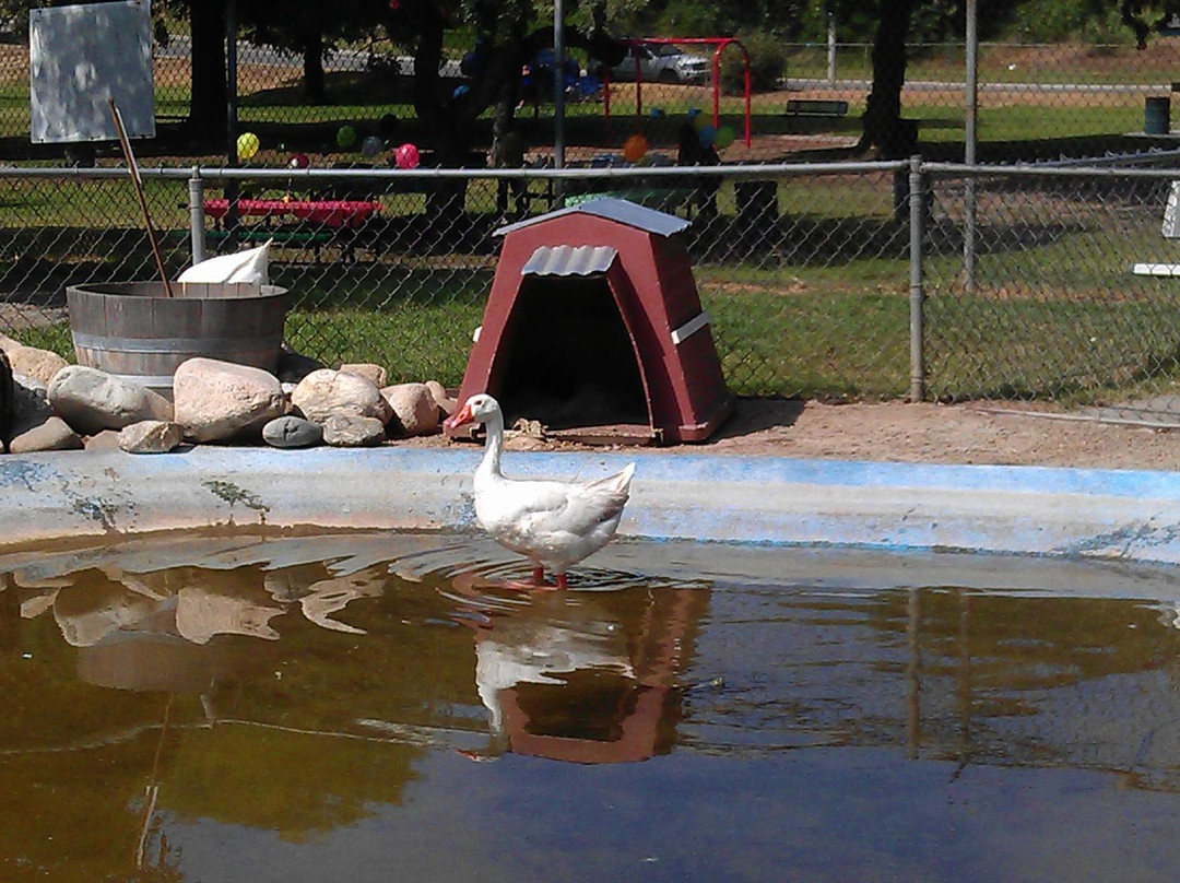 Montebello Barnyard Zoo-蒙特贝洛必去景点