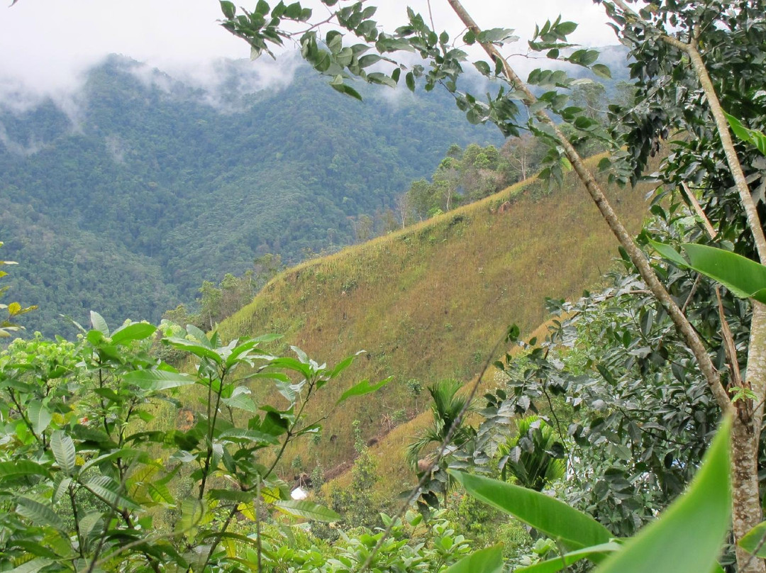 Kipandi Butterfly Farm-坦巴南必去景点