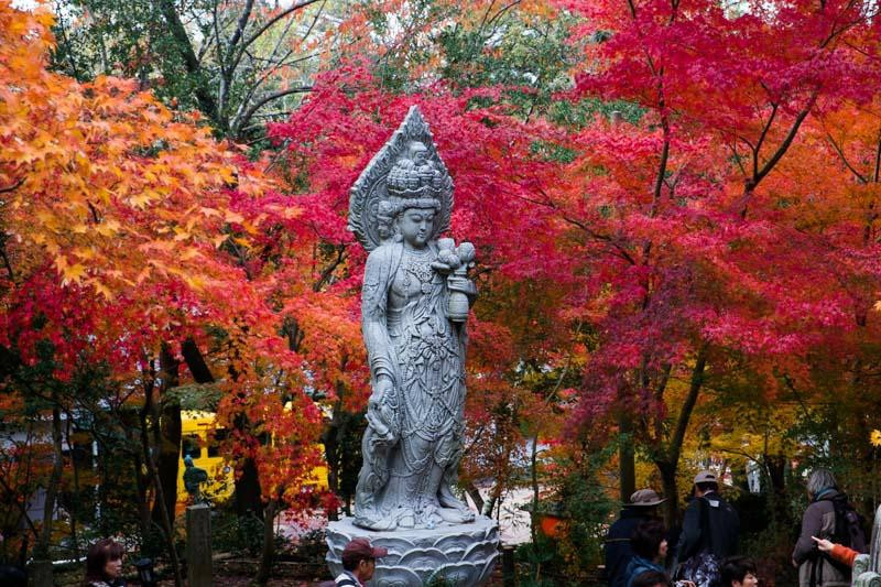 永观堂-京都市必去景点