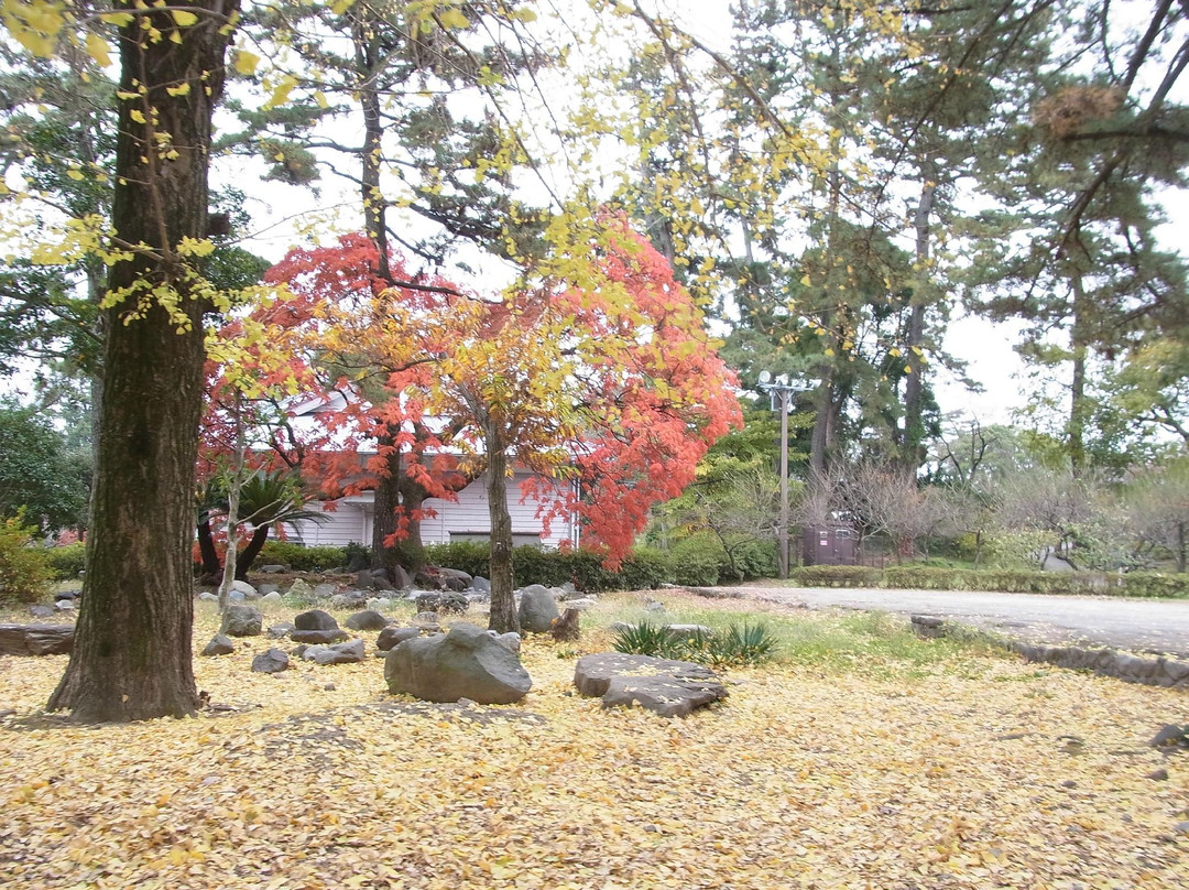 Odawara Castle Park景点图片