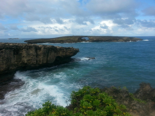 Blue Hawaii Photo Tours-火奴鲁鲁必去景点