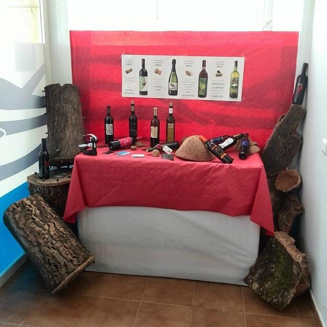 Enoteca Divins-巴塞罗那必去景点