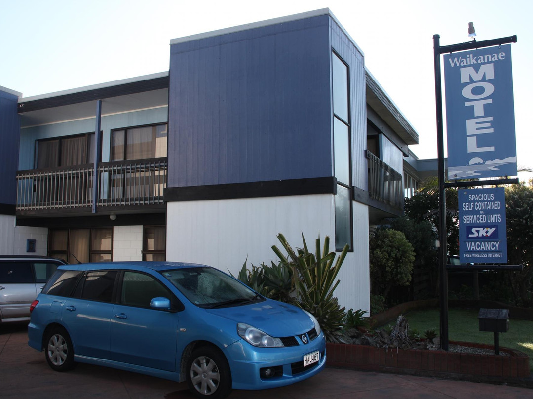 Waikanae Beach Motel主图