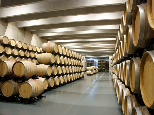 Losada Vinos De Finca景点图片