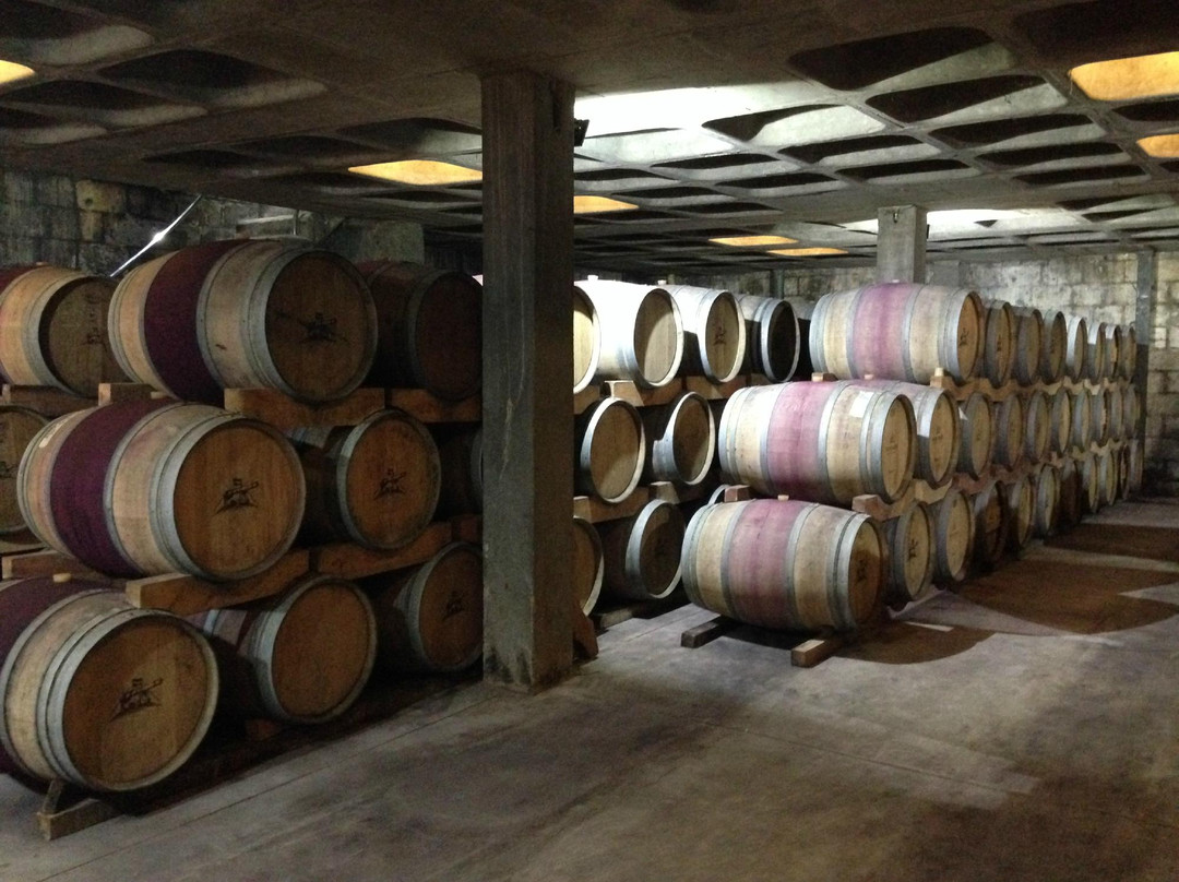 Kanonkop Wine Estate-斯泰伦博斯必去景点