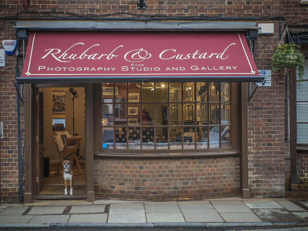 Rhubarb And Custard Photo Gallery景点图片