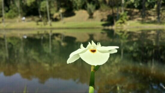 Jardim Botânico de São Paulo-圣保罗必去景点
