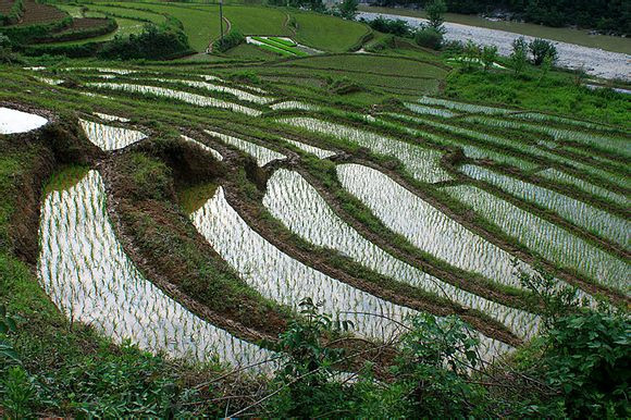陕西佛坪国家级自然保护区-佛坪县必去景点