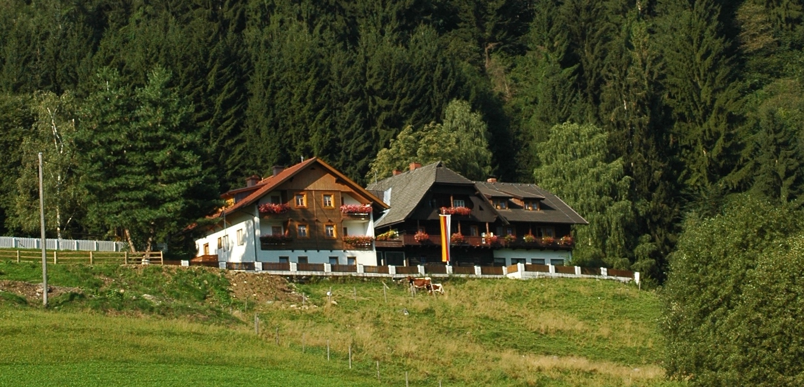Thurnerhof Gasthof-官方