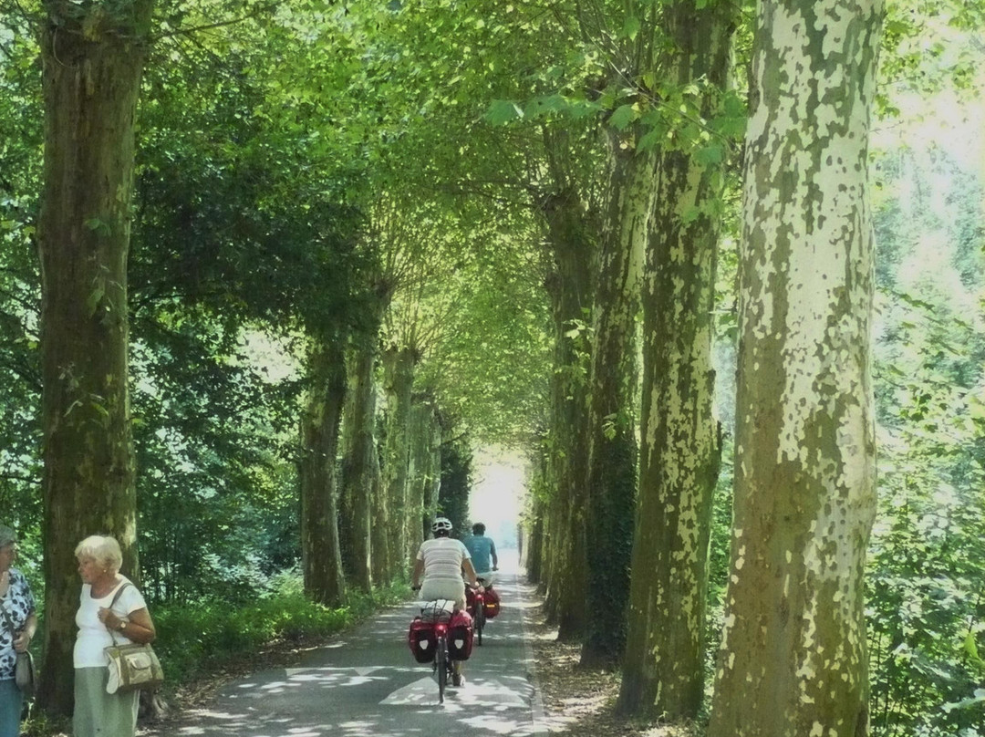 Parc du Château de Pourtalès-斯特拉斯堡必去景点