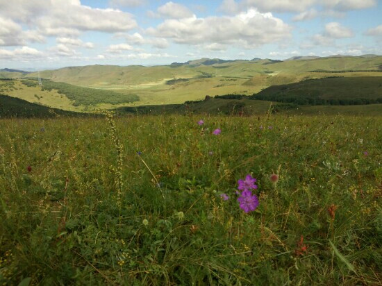 丰宁坝上草原-丰宁满族自治县必去景点