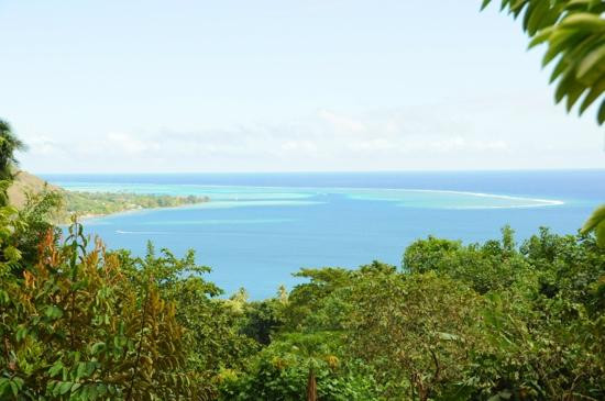 Moorea Tropical Garden-莫雷阿岛必去景点