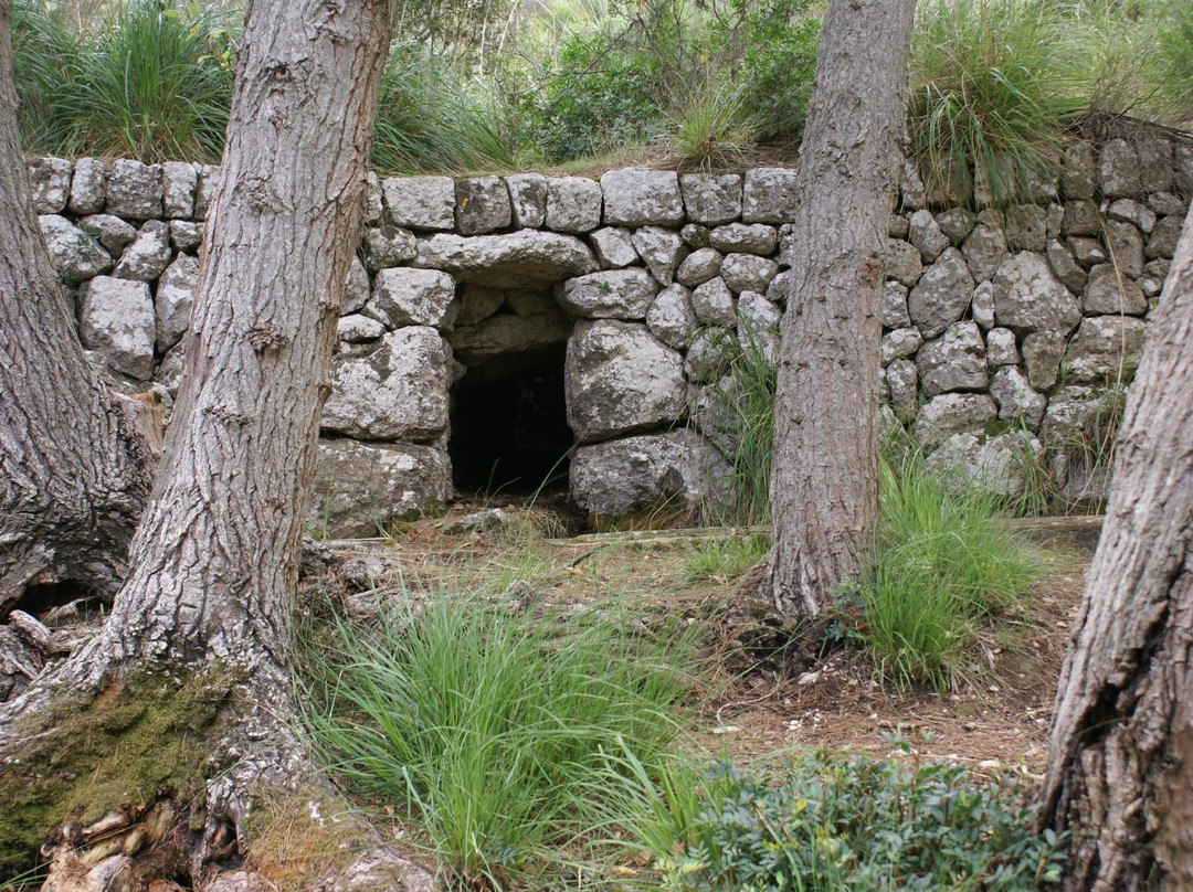 CR8 Es Galatzo - Sa Vinya Trail-Es Capdella必去景点