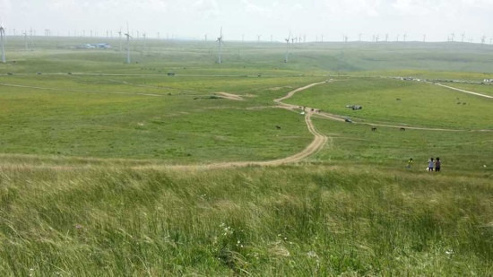 呼和诺尔草原-陈巴尔虎旗必去景点