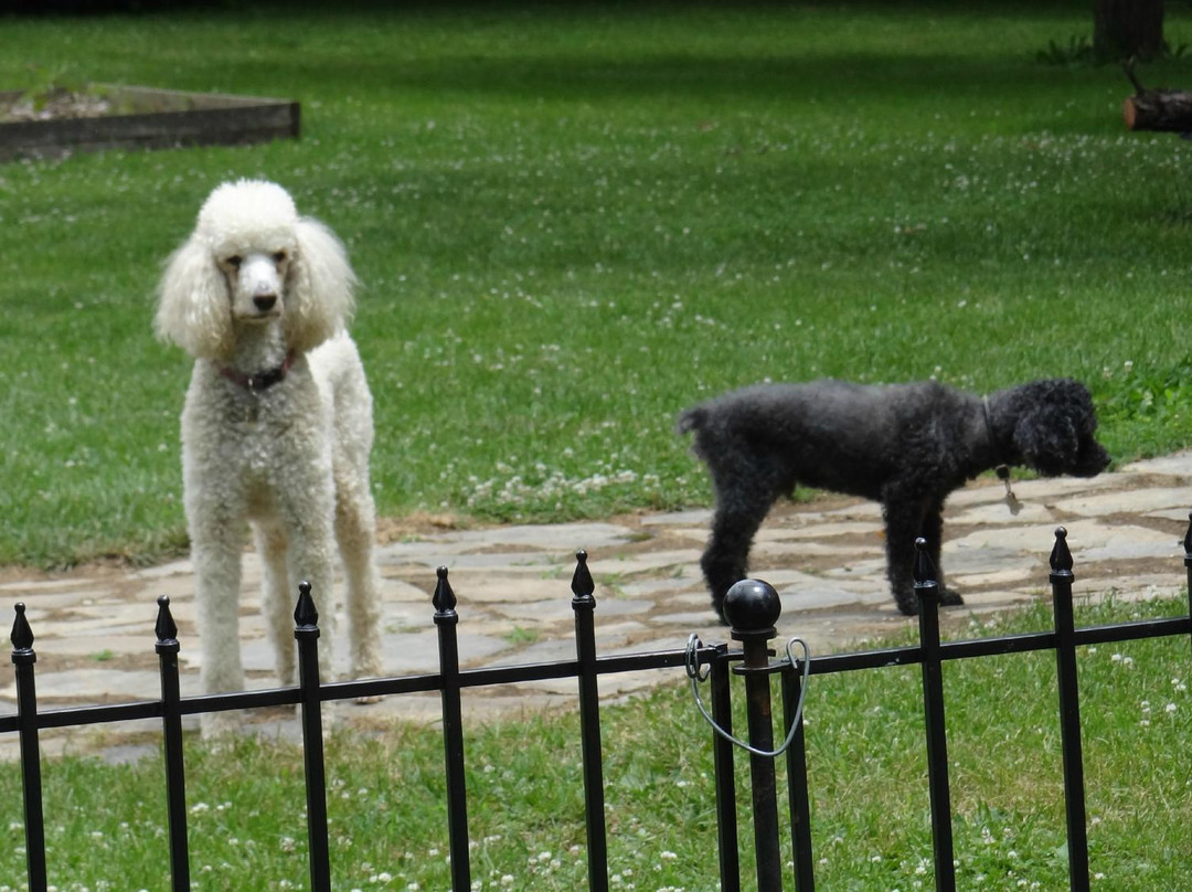 Lackawanna B&B主图