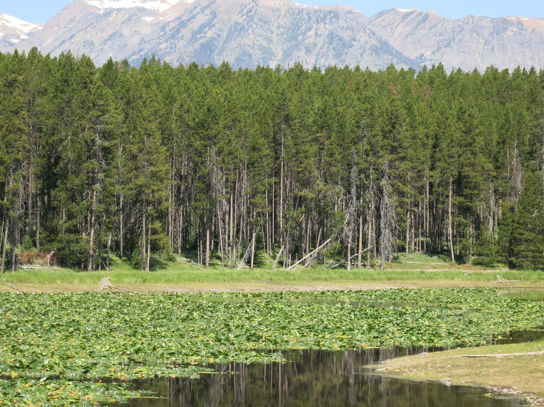 杰克逊湖-大提顿国家公园必去景点