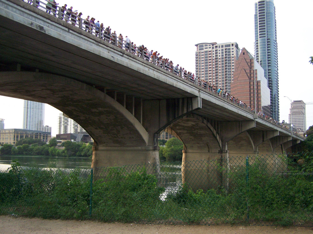 Congress Avenue Bridge Bat Watching-奥斯丁必去景点