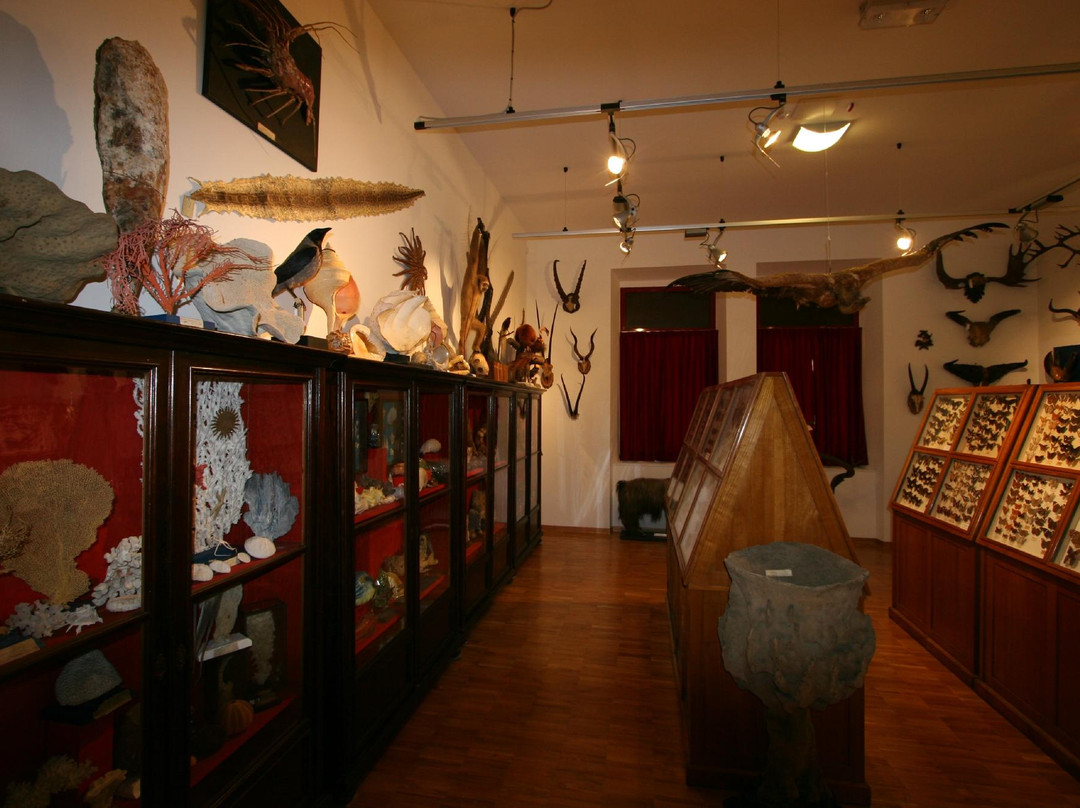 Museo Civico di Storia Naturale景点图片
