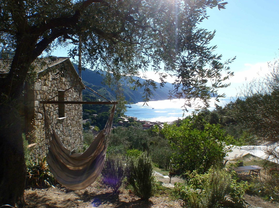 Agriturismo Uliveto nel Parco