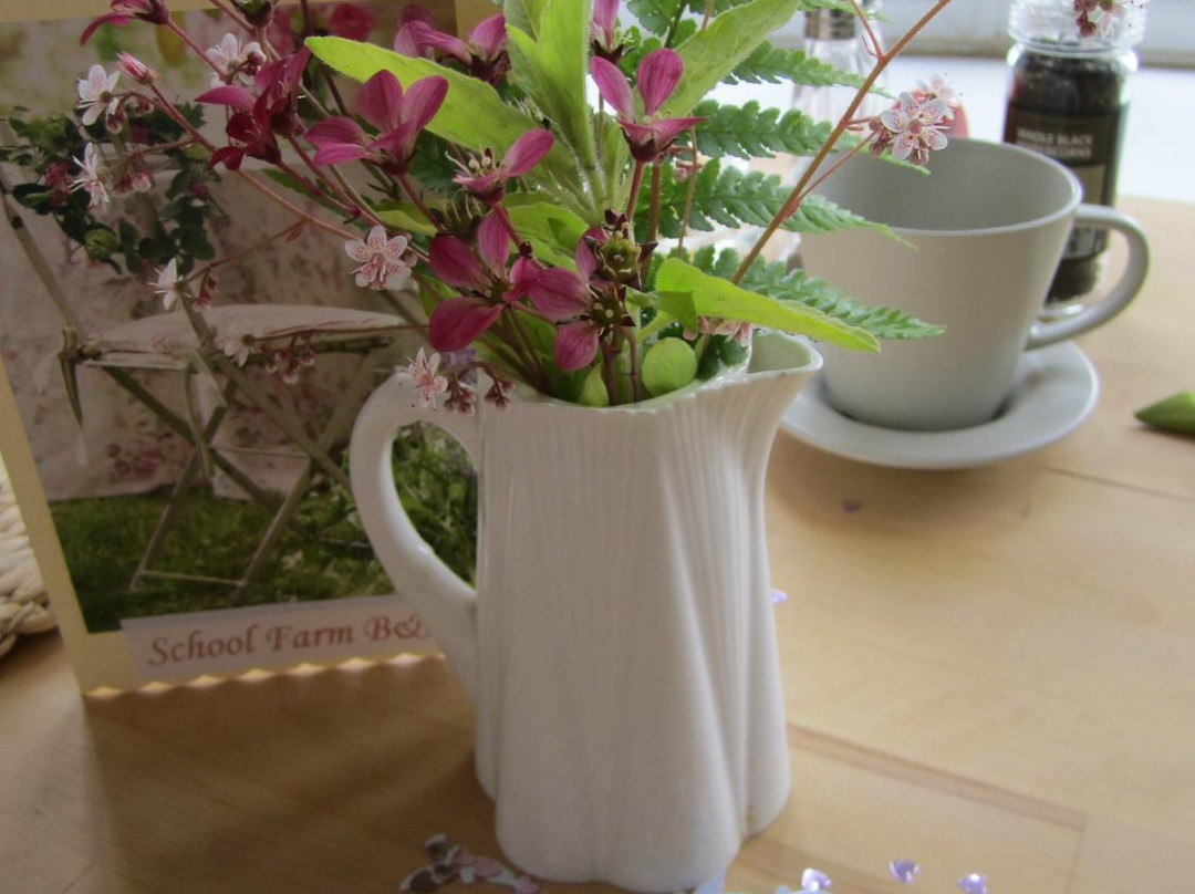 School Farm Bed and Breakfast主图