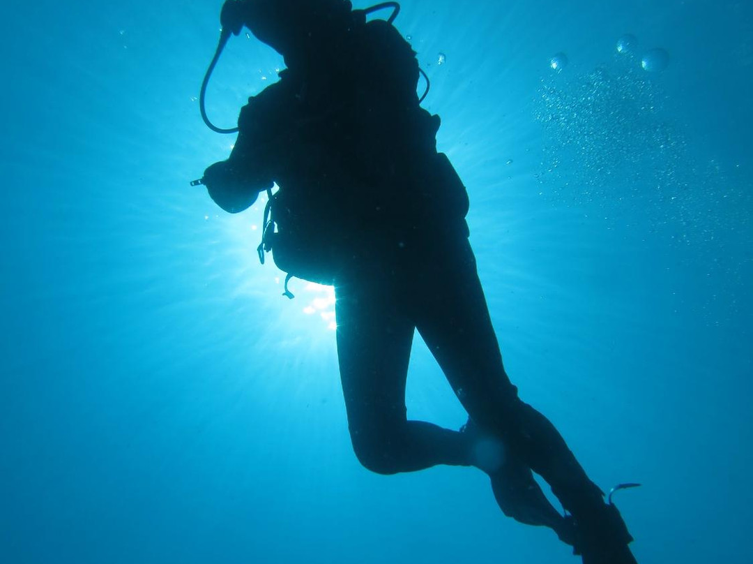 Puerto Rico Diving-波多黎各必去景点