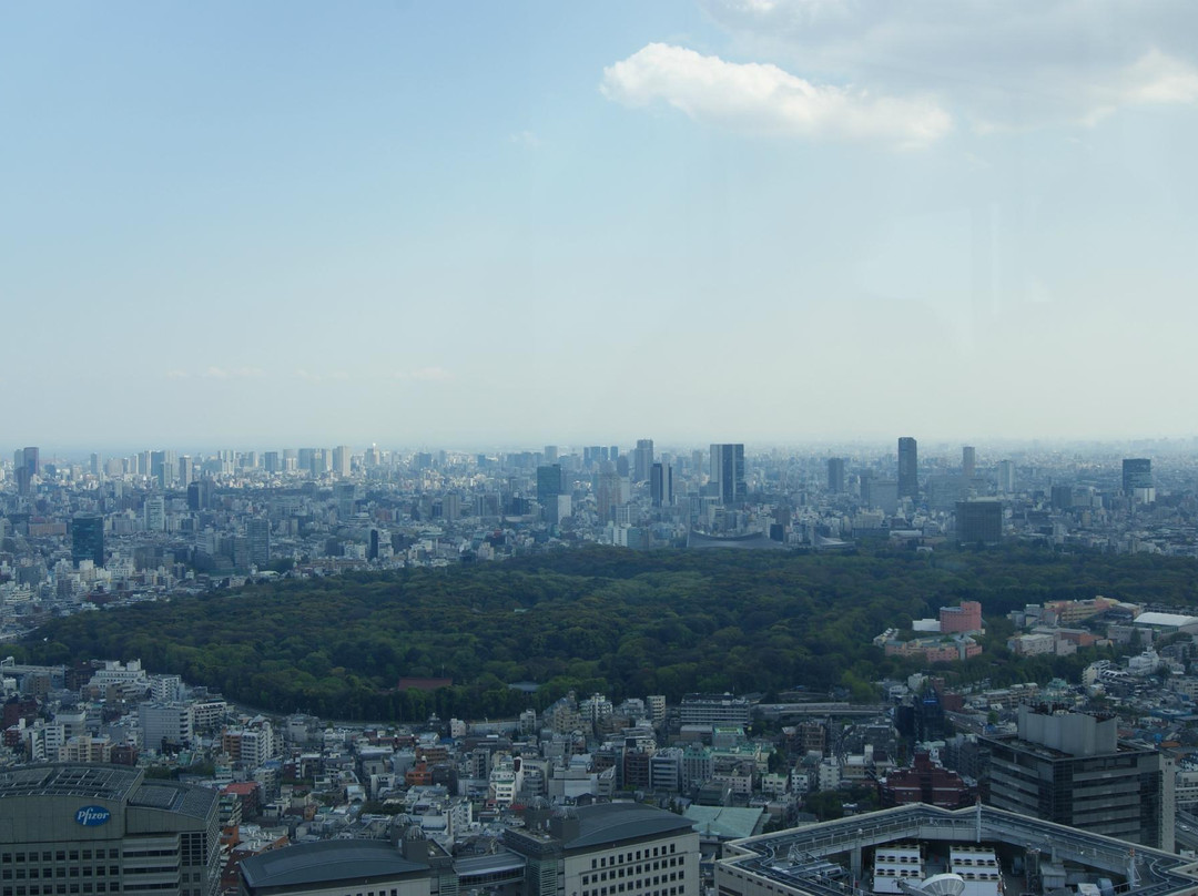 Tokyo Metropolitan Government Building Observation Decks-Nishishinjuku必去景点