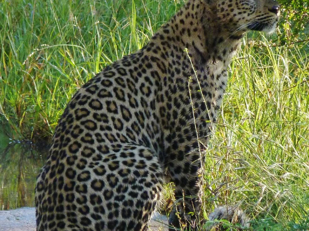 Outlook Safaris-克鲁格国家公园必去景点