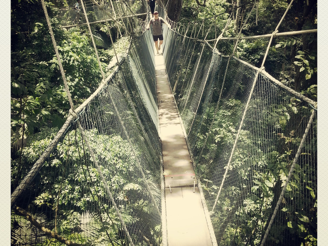 FRIM -Forest Research Institute of Malaysia-八打灵再也必去景点