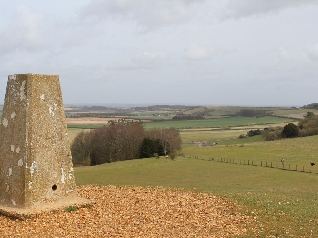 Danebury Iron Age Hill Fort景点图片