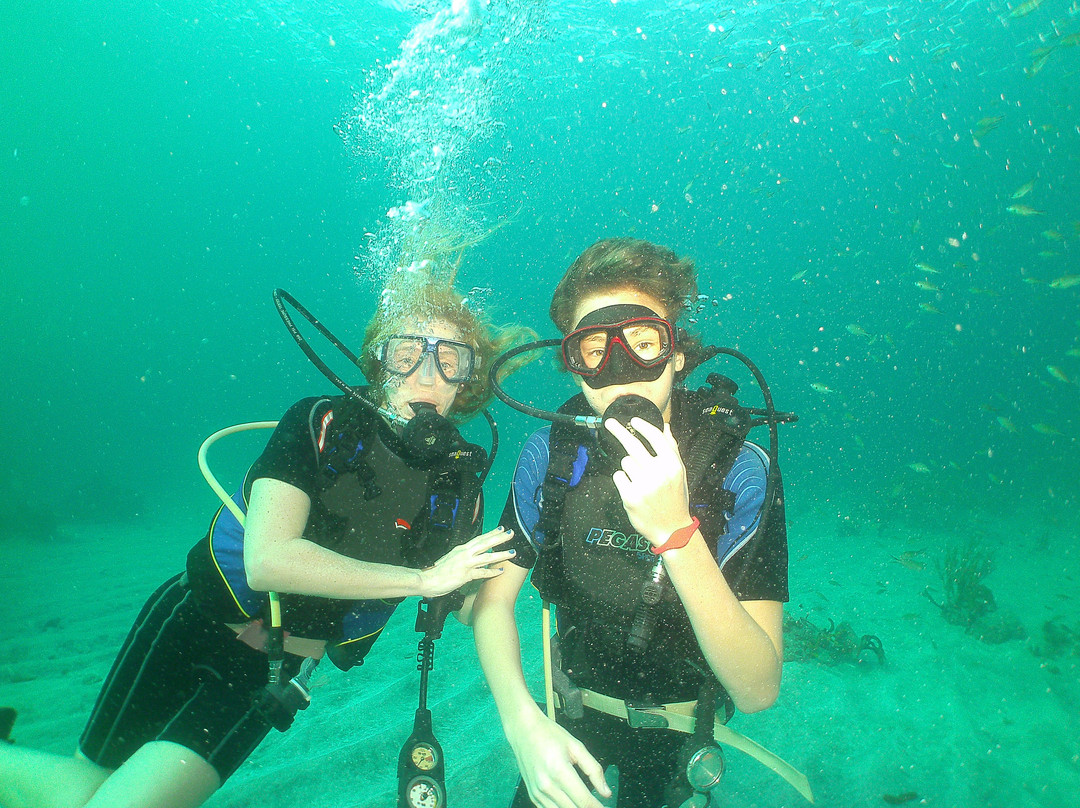 Dive Carriacou-Carriacou Island必去景点