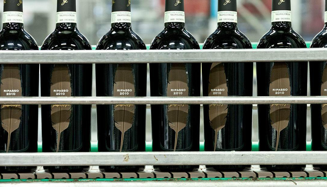 Giuseppe Campagnola Winery景点图片