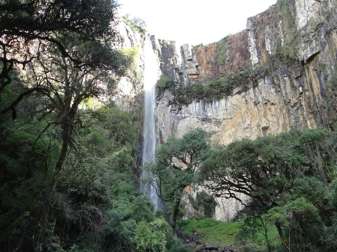 Cachoeira do Avencal-Urubici必去景点