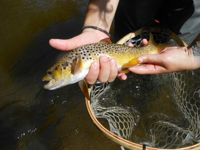 Pere Marquette River Lodge主图