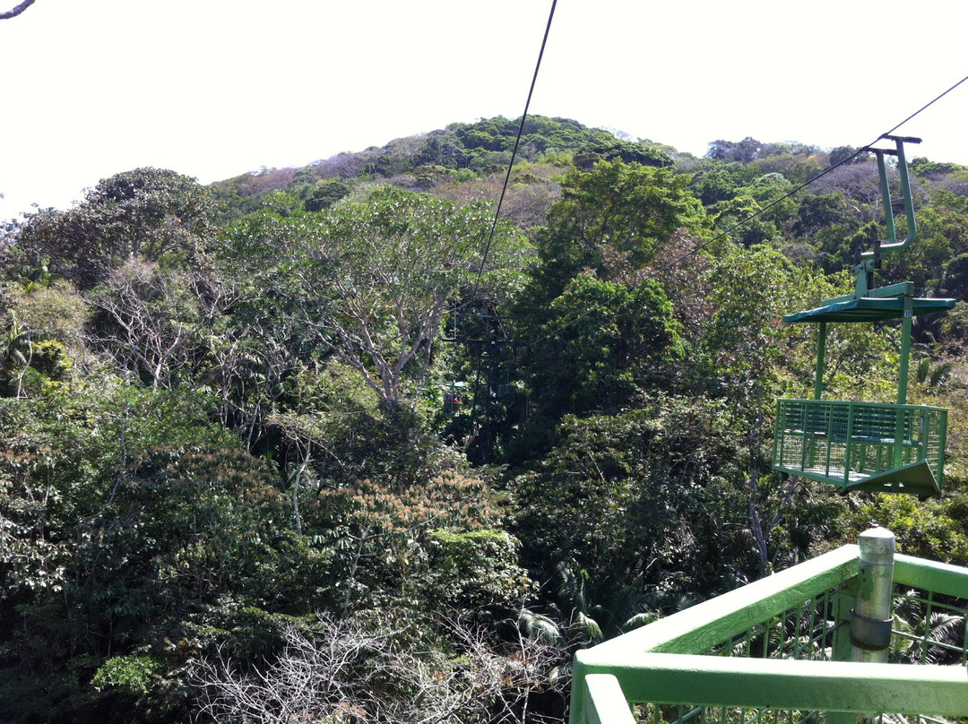 Gamboa Rainforest Resort Activities景点图片