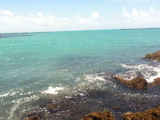 Praia de Japaratinga-Japaratinga必去景点