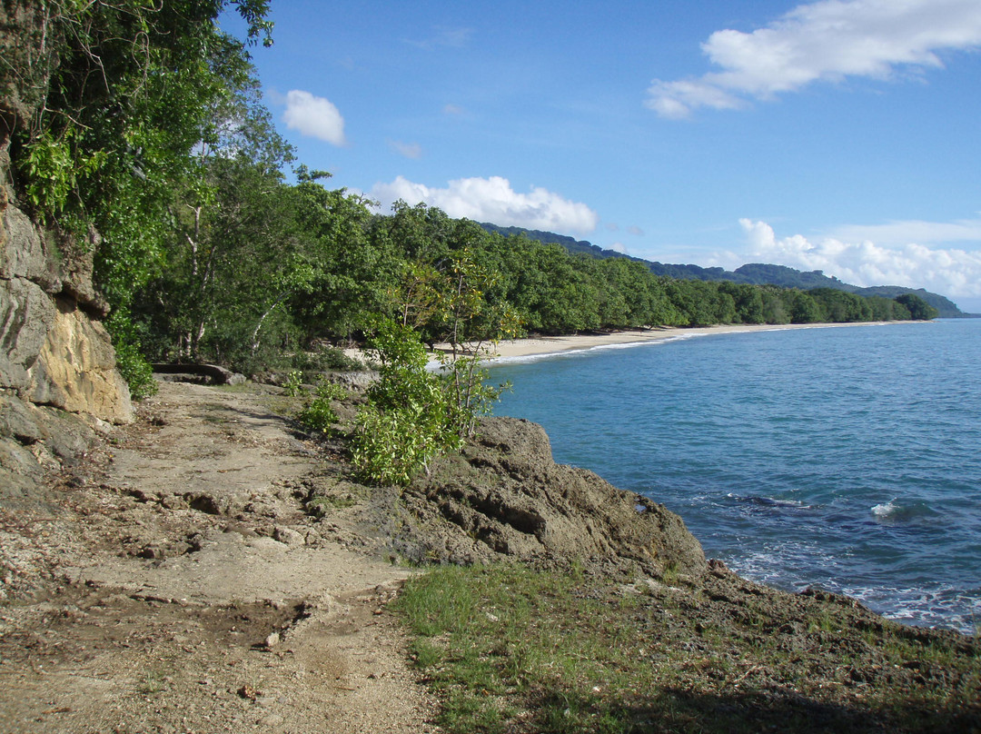 Pentecost Island旅游攻略图片