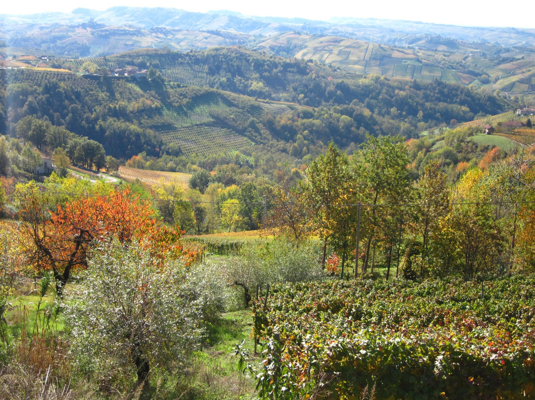 Strada Romantica delle Langhe e del Roero景点图片