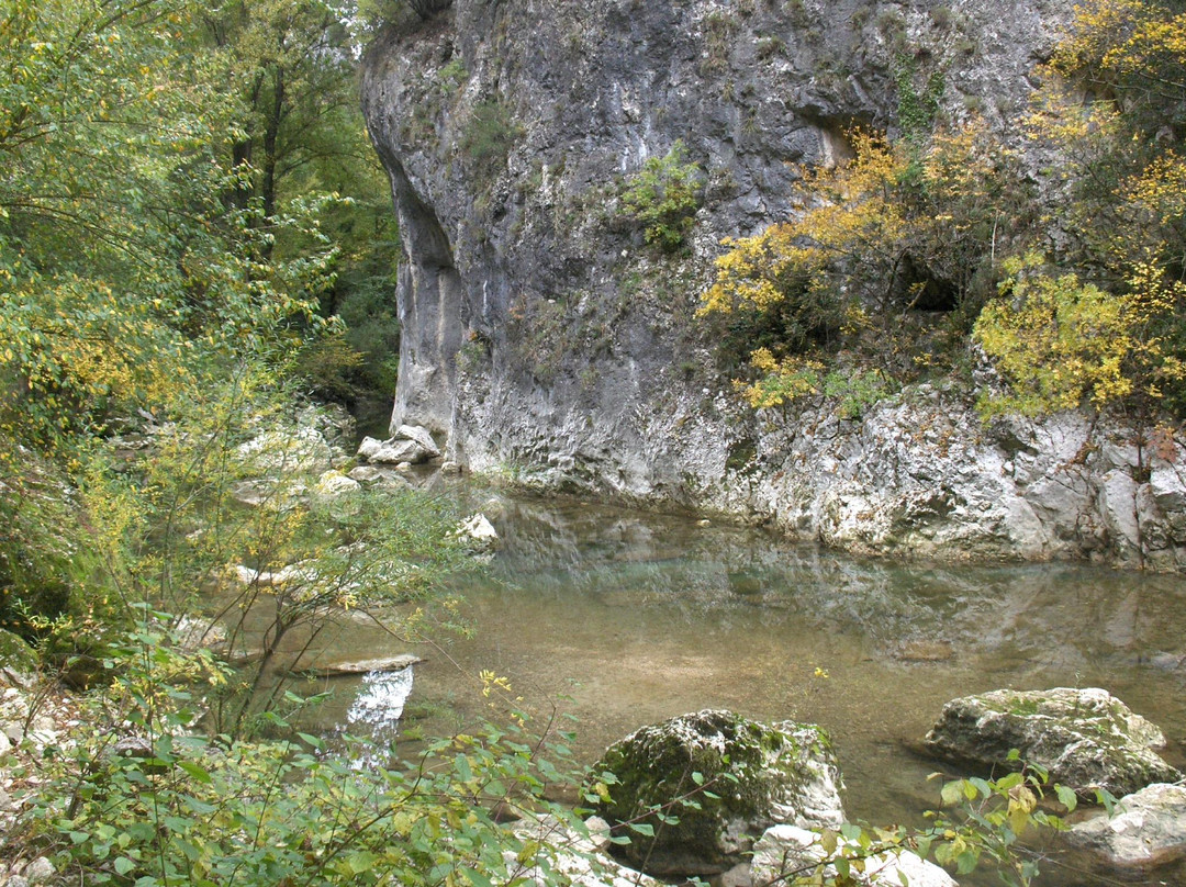 Parco Naturale Regionale della Gola della Rossa e di Frasassi景点图片