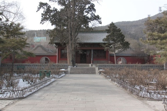 舍利生生塔-太原市必去景点