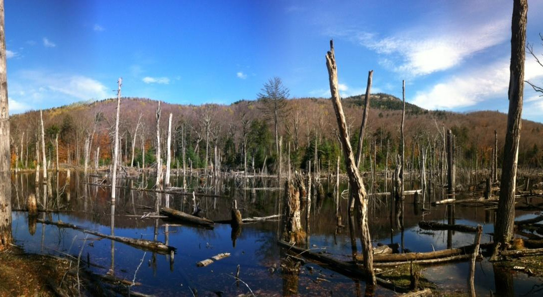 Mount Jo-普莱西德湖必去景点
