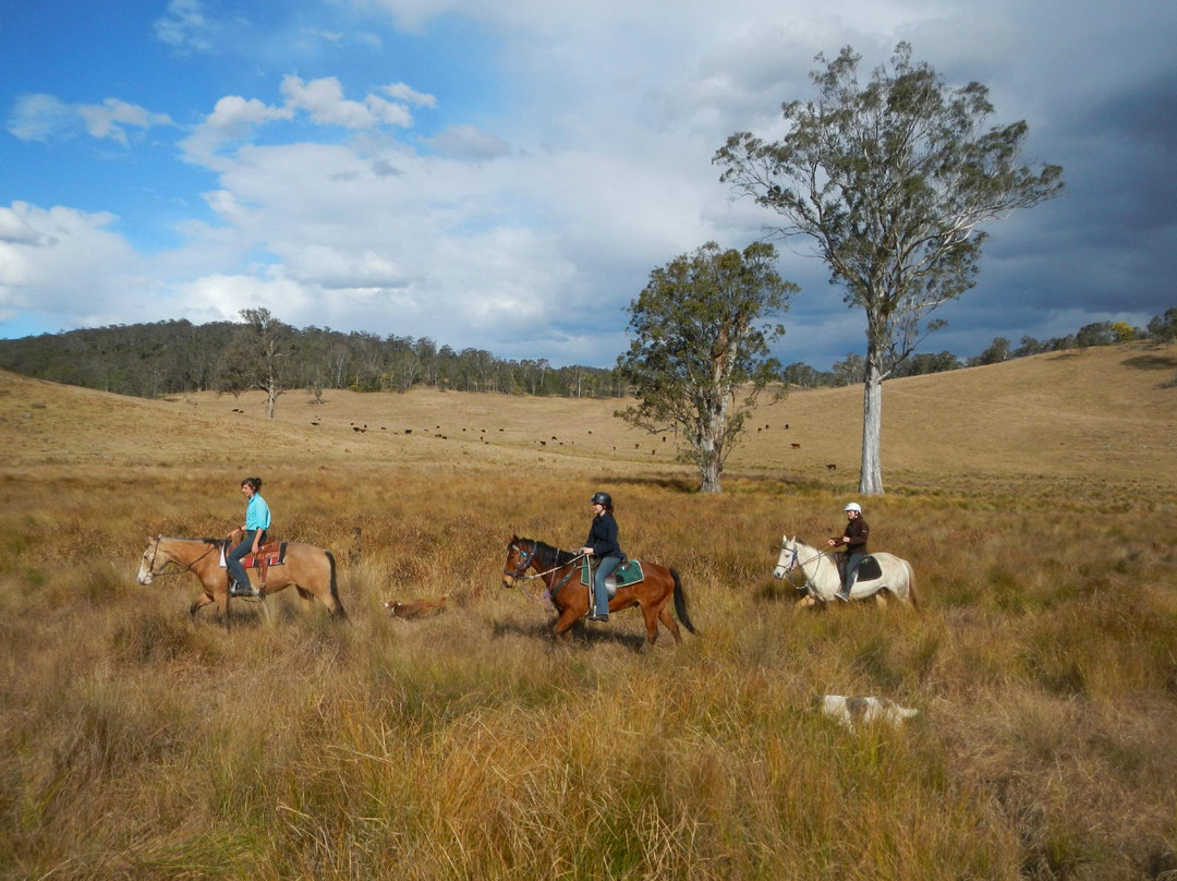 Chapman Valley Horse Riding景点图片