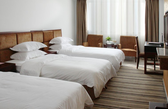 金元宝大酒店主图