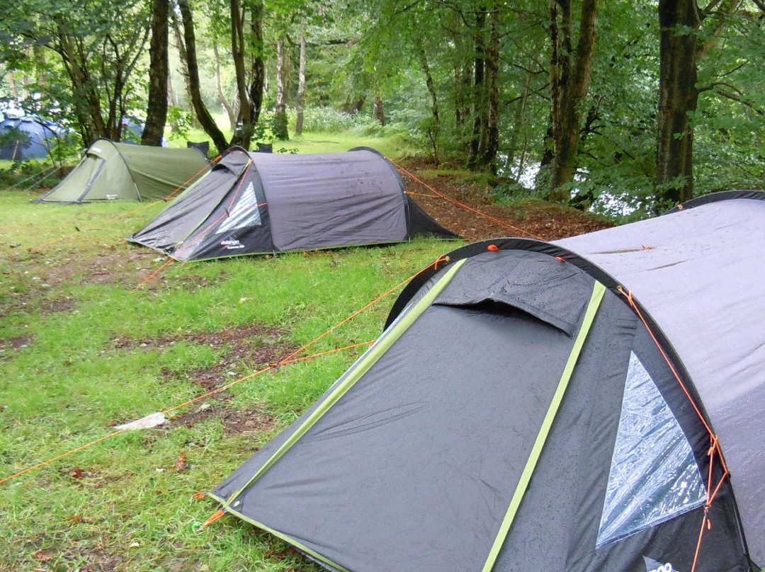 Dinas Farm Touring Park