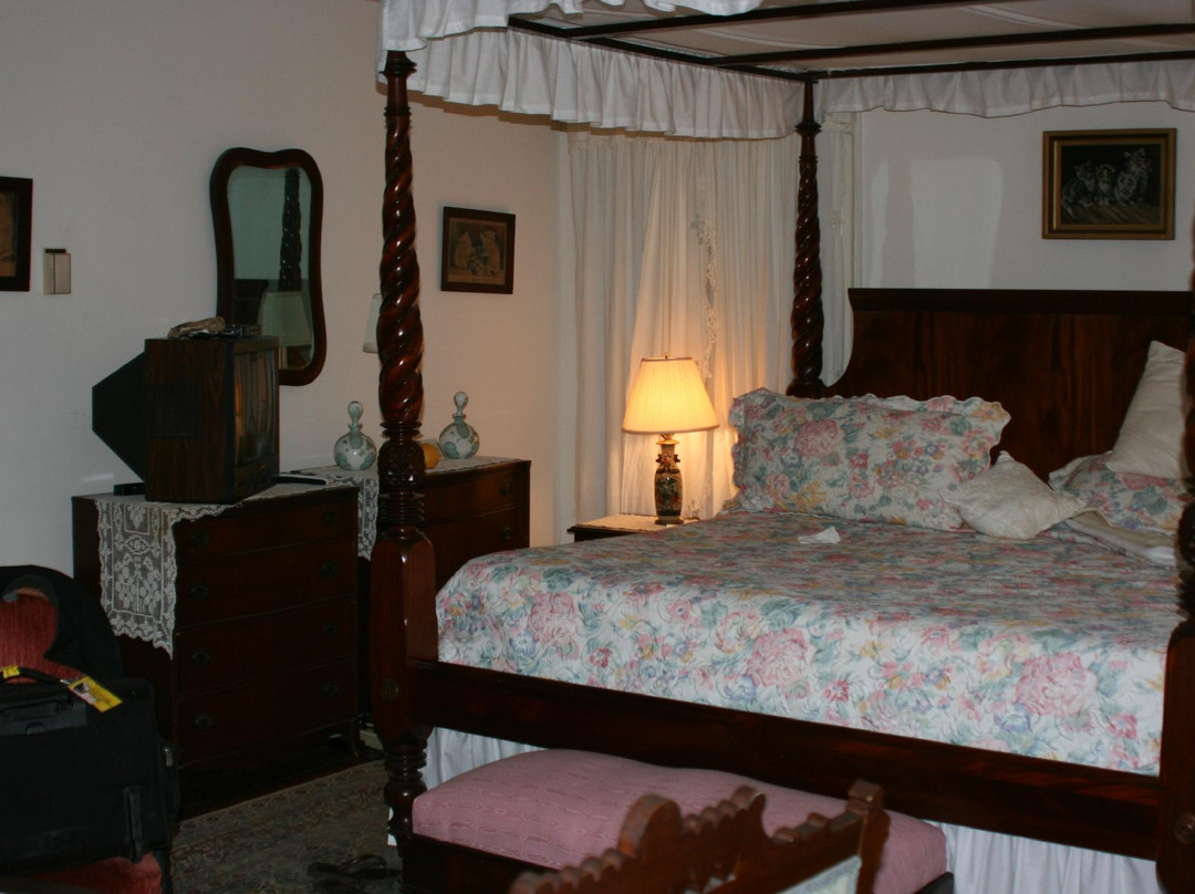 Cottage Plantation主图