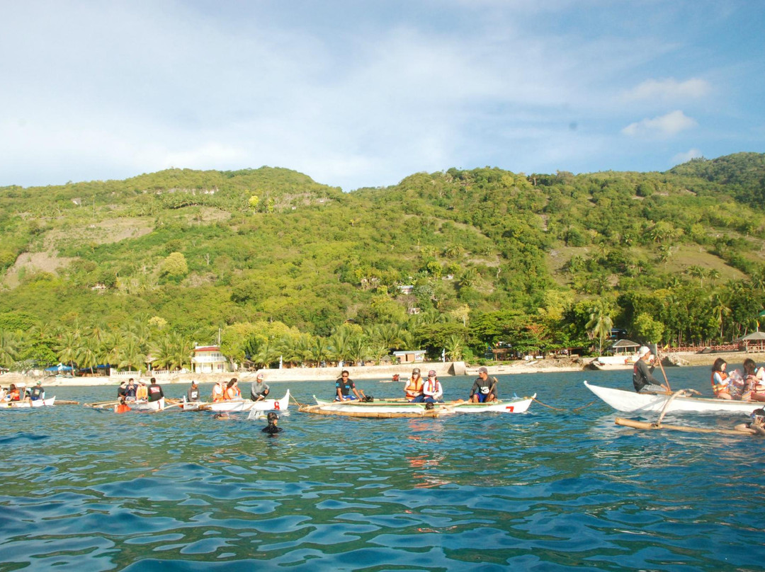 鲸鲨共游之旅-奥斯洛布必去景点