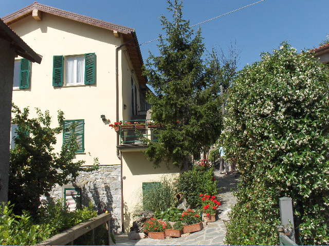 Agriturismo OlivArancio