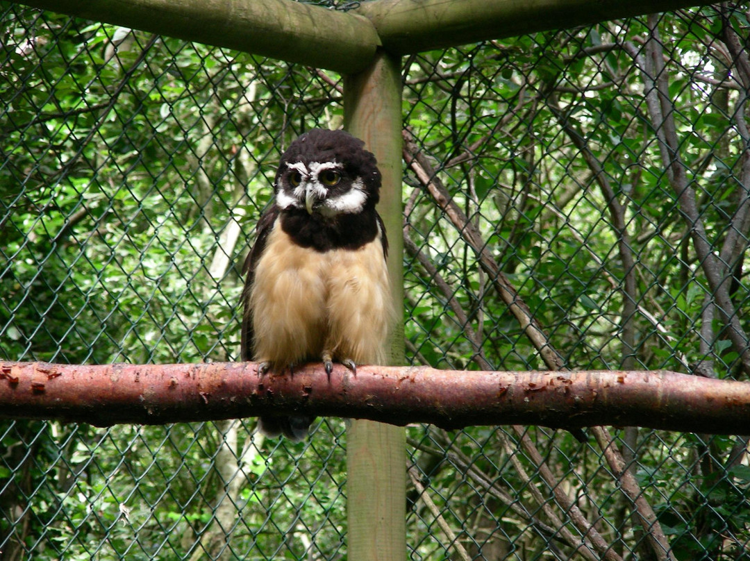 Curraghs Wildlife Park-Ballaugh必去景点
