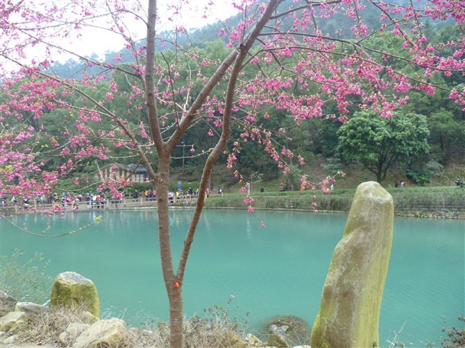 福州国家森林公园景点图片